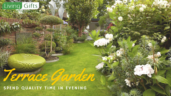 Secret tips to create most amazing terrace garden
